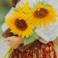 سلام یک قطعه طلا پیداشده