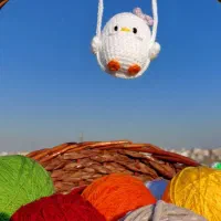 جوجه و خرگوش