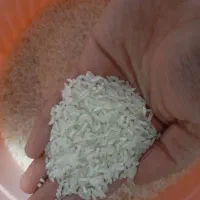 برنج پاکستانی