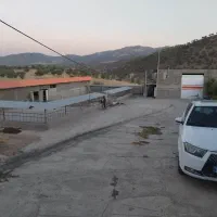 اجاره دامداری