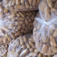 بادام زمینی|عمدهفروشی|کامیاران, |دیوار