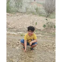 عروس هلندی گمشده