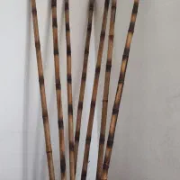 چوب بامبو