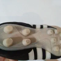 کفش چمنی فوتبال|کیف، کفش، کمربند|گیلان غرب, |دیوار