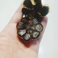 سیر سیاه همدان|خوردنی و آشامیدنی|شیراز, گلکوب|دیوار