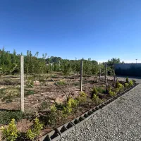 زمین برای باغچه و باغ ویلا /شهرکی ۱۲۸۹ متری /تهاتر