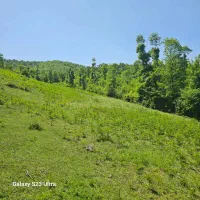 فروش ۲۸۵متر زمین،مجوز ساخت،سندتک برگ|فروش زمین و ملک کلنگی|توتکابن, |دیوار