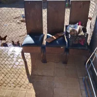 صندلی رایگان