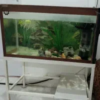 گلدان کوزه ای سفالی