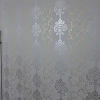 رنگ پلاستیکی وطرح