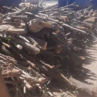 درخت و چوب شما را با بالاترین قیمت نقدی خریداریم|خدمات باغبانی و درختکاری|مشهد, کلاهدوز|دیوار