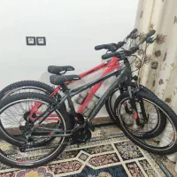 دوچرخه ویوا سایز ۲۹|دوچرخه، اسکیت، اسکوتر|خرمشهر, |دیوار