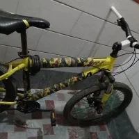 یک عدد دوچرخه