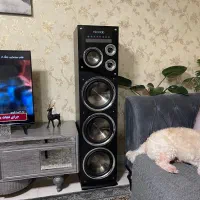 اسپیکر میکرولب در حد اک به همراه میکروفن و کارتن|سیستم صوتی خانگی|تهران, تهرانپارس غربی|دیوار