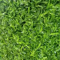 فنس برگی .فنس چمنی . فنس چمنی استوک .یووی دار