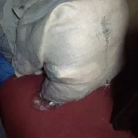 خلال گمشده
