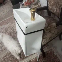 روشویی با شیر و زیر کابینتی|لوازم سرویس بهداشتی|ورامین, ورامین|دیوار