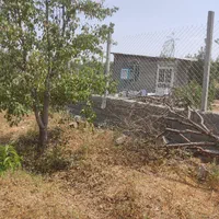 باغچه ۵۲۵متری(منطقه برند باغ کمال تنکمان)|فروش زمین و ملک کلنگی|تنکمان, |دیوار