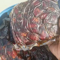 شیره خرما|خوردنی و آشامیدنی|آبپخش, |دیوار