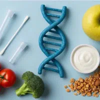 داخل منزل با برنامه  لاغر شوید