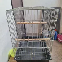 قفس طوطی و کاسکو مینا