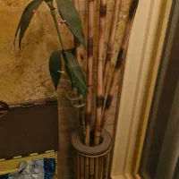 گلدان بامبو با شاخه بامبو|گل مصنوعی|تهران, مجیدیه|دیوار