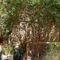 سوییت خوش مکان، محل امن و شیک .