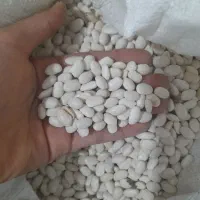 لوبیا سفید کیلویی 400