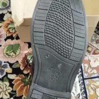 کفش مجلسی|کیف، کفش، کمربند|سراوان, |دیوار