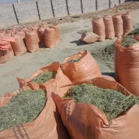 یونجه خرمنکوب