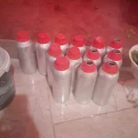 گداجوش یا چای جوش