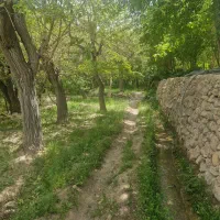 زمین ۳۸۰ متر دارای جواز ساخت ۴ دیواری