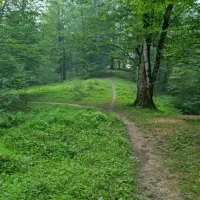 خرید ملک شمال