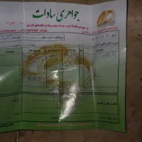 النگوسایز۱بزرگ|جواهرات|قم, شاه سید علی|دیوار