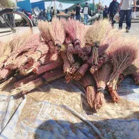 جارو فریدن