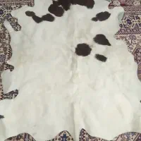 پوست طبیعی گاو
