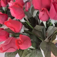 غنچه گل رز لمسی