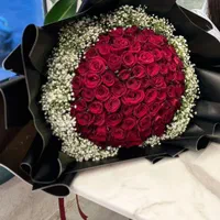 پخش عمده گل رز هلندی زیر قیمت بازار|گل و گیاه طبیعی|مشهد, هنرستان|دیوار