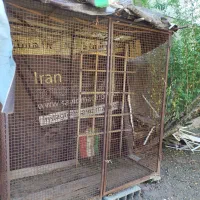 قفس آهنی|لوازم جانبی حیوانات|املش, |دیوار