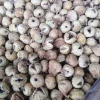 انجیر|خوردنی و آشامیدنی|شیراز, شهرک مدرس|دیوار