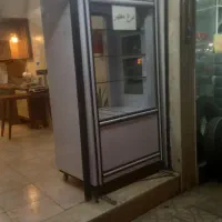یخچال مرغ فروشی