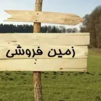 زمین/کوی شهرداری/۲۸۰متری