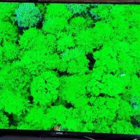 LED 55 سونیSONY 4K مدل X80L|تلویزیون و پروژکتور|تربت جام, علوی|دیوار