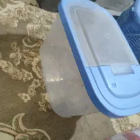 جابرنجی|ظروف نگهدارنده، پلاستیکی، یک‌بارمصرف|شیراز, تاچارا|دیوار