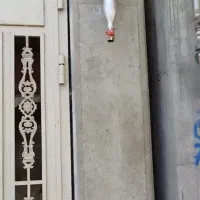 مجری لوله گشی گاز خانگی  اقساطی