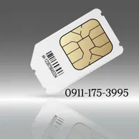 0911-175-3995