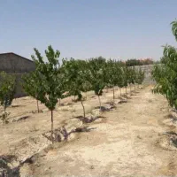 باغ ویلا در وایقان|فروش زمین و ملک کلنگی|شبستر, |دیوار