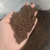 ورمی کمپوست درجه ۱