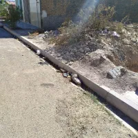 زمین|فروش زمین و ملک کلنگی|تربت‌حیدریه, منظر|دیوار