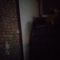 کمد دیواری|جاکفشی، کمد، دراور|ساری, |دیوار